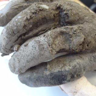 Soil Hand, Clay Soil. 2014